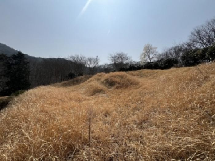 전남 담양군 대덕면 임야 경매 물건 사진 4 · 2026타경30811
