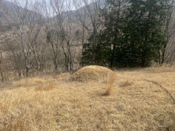 전남 담양군 대덕면 임야 경매 물건 사진 5 · 2026타경30811