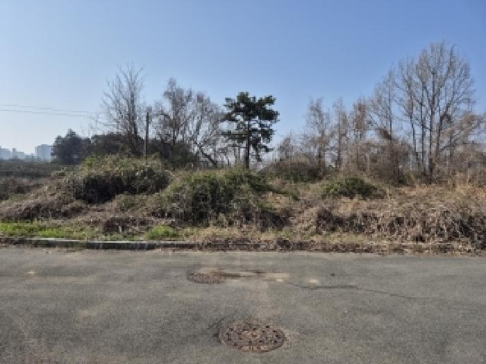 전남 나주시 금천면 대지 경매 물건 사진 2 · 2026타경30858
