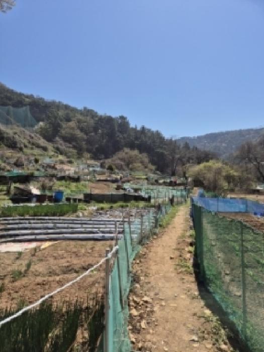 동구 지산동 대지,임야,전답 경매 물건 사진