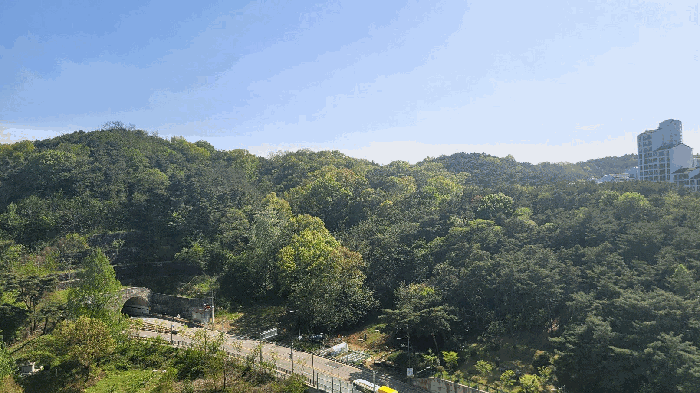 전남광주통합특별시 남구 봉선동 산53-5 임야 경매 물건 사진