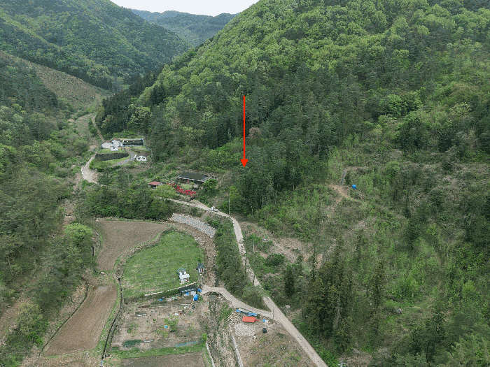 전남광주통합특별시 화순군 한천면 오음리 산38 임야 경매 물건 사진