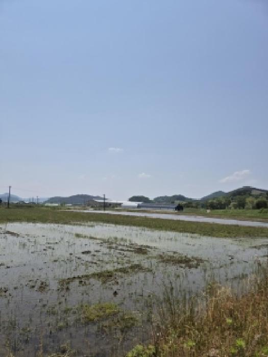 전남 장성군 서삼면 대지,임야,전답 경매 물건 사진