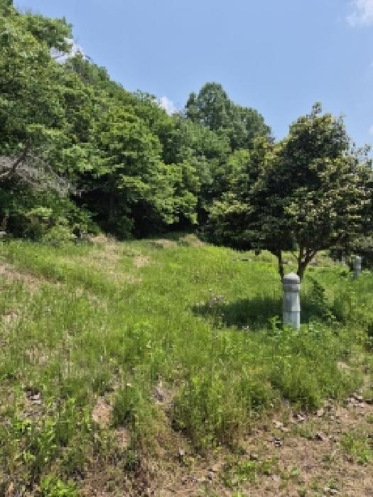 전남 장성군 서삼면 대지,임야,전답 경매 물건 사진 4 · 2026타경31428
