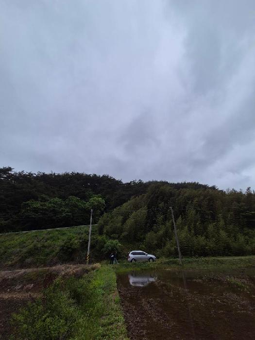 전남 화순군 동복면 대지,임야,전답 경매 물건 사진