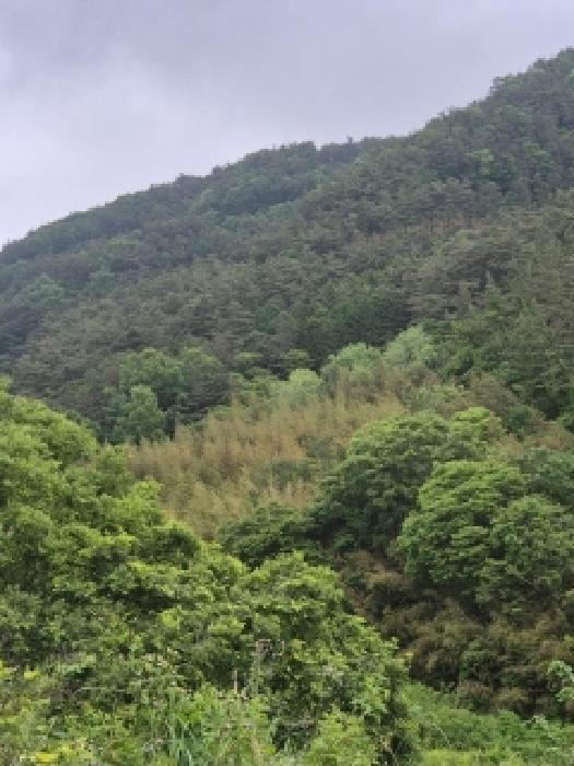 전남 화순군 동복면 대지,임야,전답 경매 물건 사진 3 · 2026타경31562