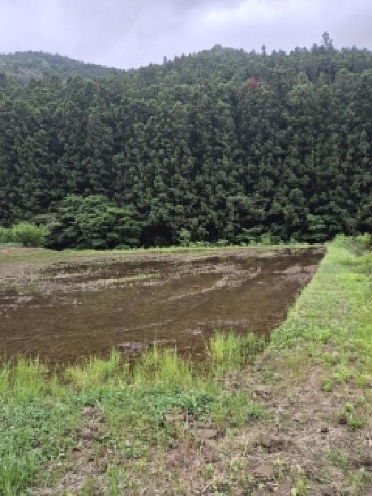 전남 화순군 동복면 대지,임야,전답 경매 물건 사진 5 · 2026타경31562