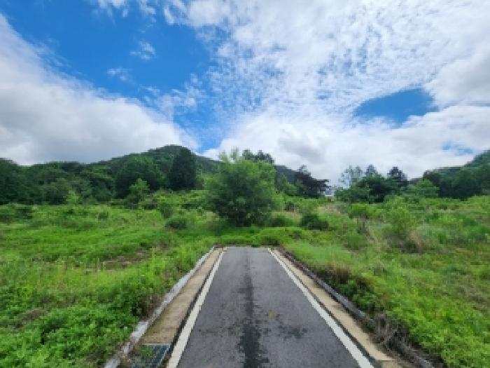담양군 담양읍 대지 경매 물건 사진