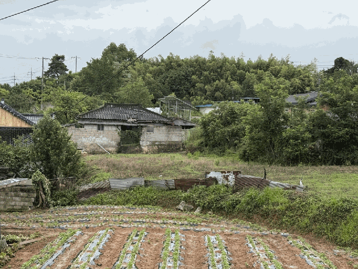 전남 나주시 왕곡면 대지,임야,전답 경매 물건 사진 6 · 2026타경31736
