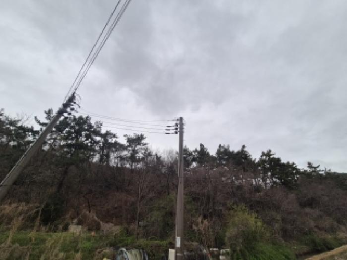 전남 영광군 염산면 임야 경매 물건 사진 3 · 2026타경3208