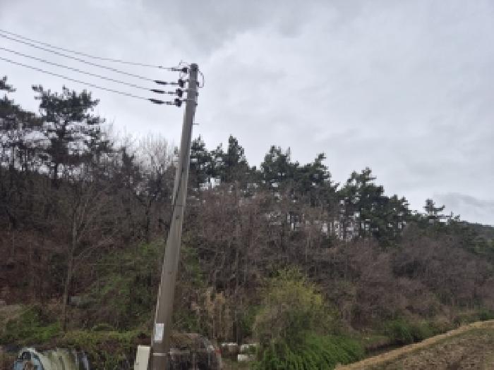 전남 영광군 염산면 임야 경매 물건 사진 4 · 2026타경3208