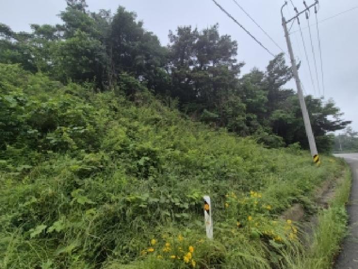 남구 덕남동 임야 경매 물건 사진