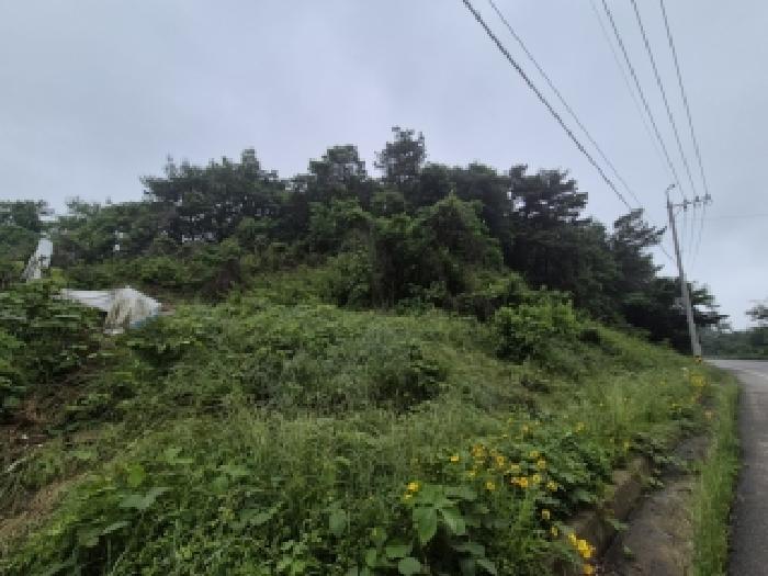 남구 덕남동 임야 경매 물건 사진 2 · 2026타경3582