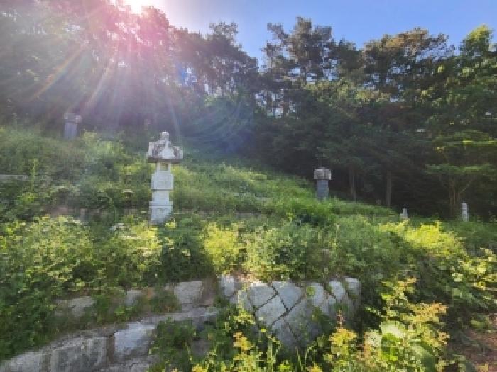북구 동림동 임야 경매 물건 사진 3 · 2026타경4058