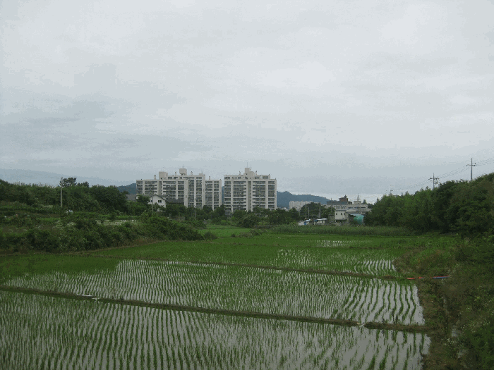 전남 나주시 용산동 대지,임야,전답 경매 물건 사진 4 · 2026타경5146