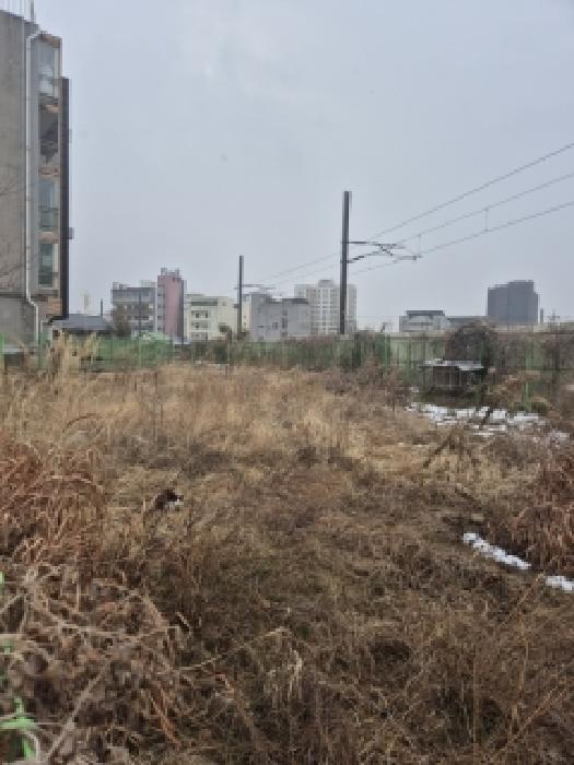 광주 광산구 소촌동 대지,임야,전답 경매 물건 사진