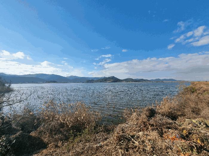 전남 영암군 서호면 유지 경매 물건 사진