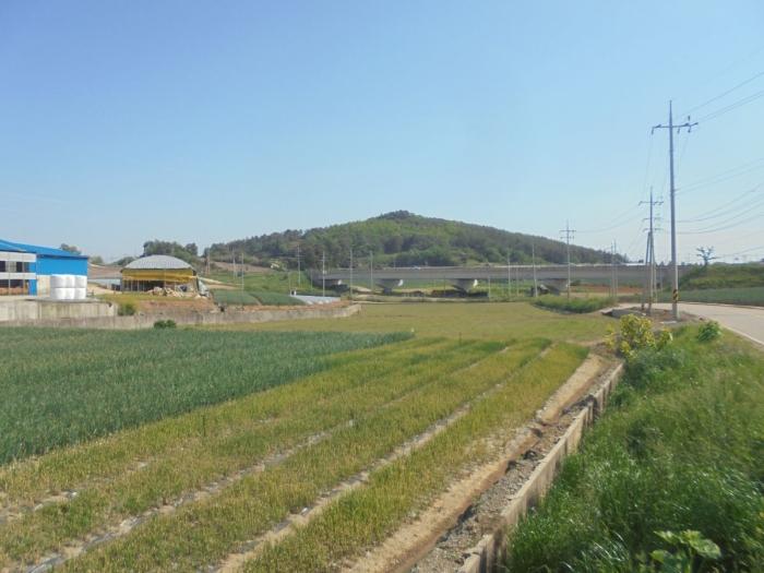 전남 무안군 일로읍 단독주택 경매 물건 사진 4 · 2024타경1638