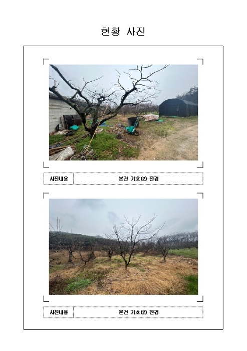 전남 무안군 일로읍 답 경매 물건 사진 4 · 2024타경50937