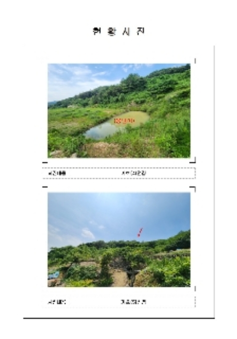 전남 함평군 학교면 임야 경매 물건 사진 5 · 2024타경53875