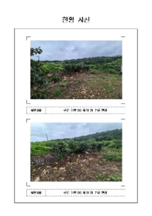 전남 영암군 학산면 답 경매 물건 사진