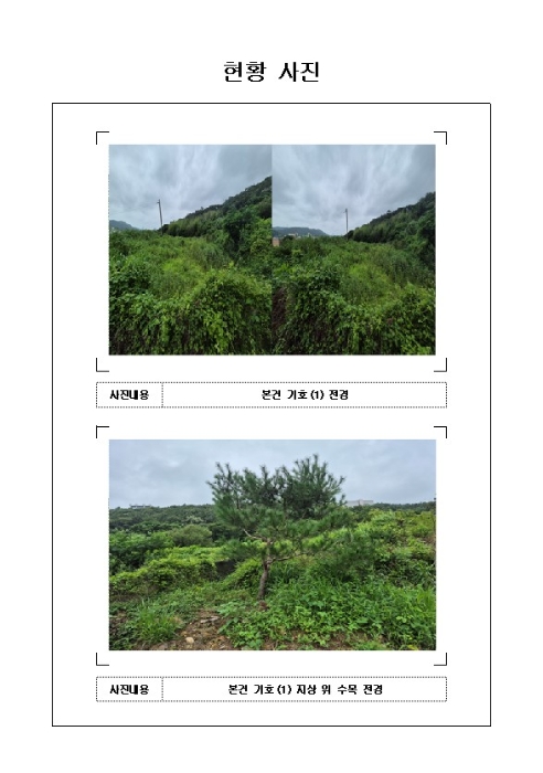 전남 영암군 학산면 답 경매 물건 사진 2 · 2024타경54496