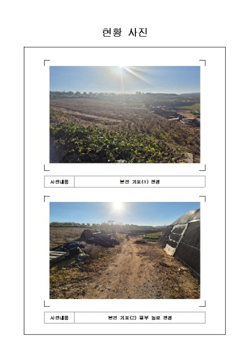 전남 영암군 시종면 임야 경매 물건 사진