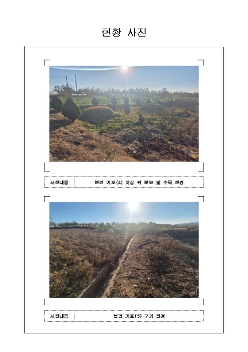 전남 영암군 시종면 도로 경매 물건 사진 4 · 2024타경57815