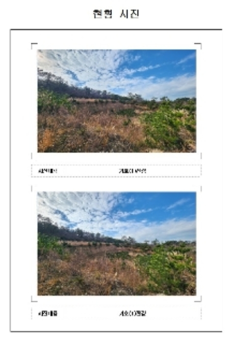 전남 신안군 증도면 전 경매 물건 사진