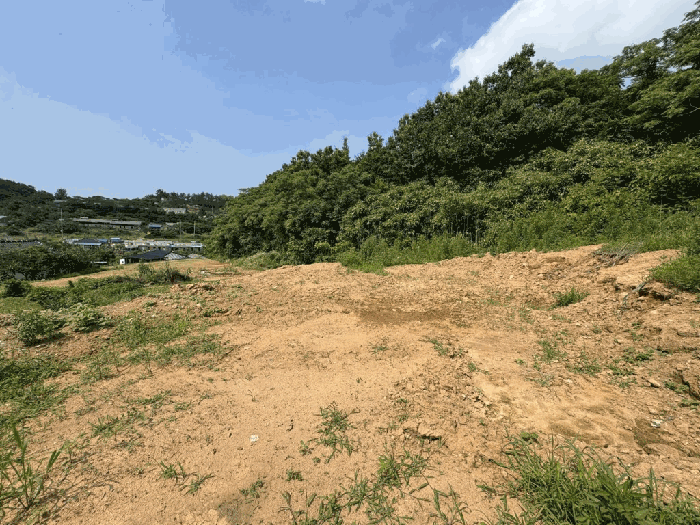 전남 무안군 삼향읍 전 경매 물건 사진 6 · 2025타경417