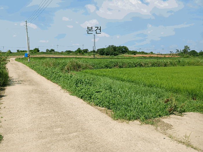 전남 영암군 시종면 답 경매 물건 사진 6 · 2025타경448