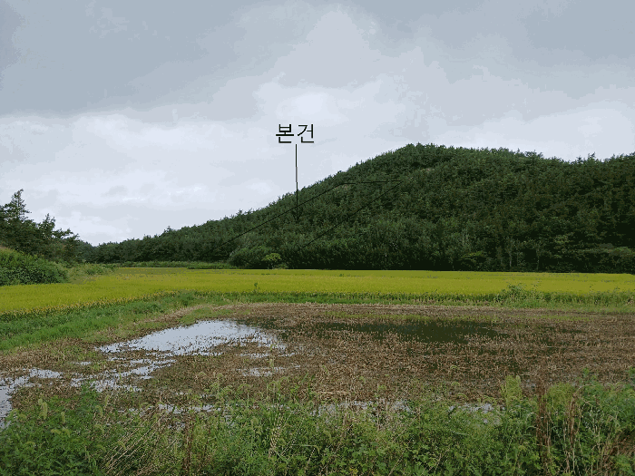 전남 신안군 압해읍 임야 경매 물건 사진 4 · 2025타경486