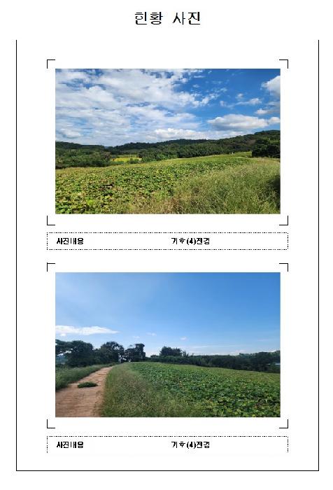 전남 영암군 신북면 답 경매 물건 사진 4 · 2025타경501