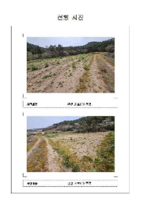 전남 신안군 지도읍 전 경매 물건 사진