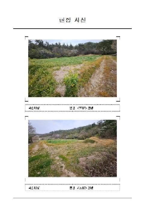 전남 신안군 지도읍 전 경매 물건 사진 2 · 2025타경50991