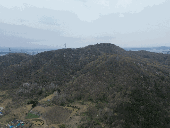 전남 무안군 삼향읍 임야 경매 물건 사진 4 · 2025타경51018