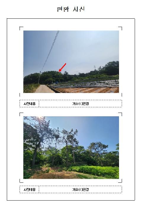 전남 영암군 삼호읍 임야 경매 물건 사진
