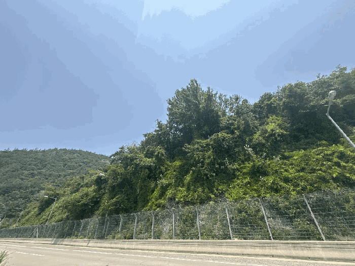 전남 영암군 학산면 임야 경매 물건 사진 4 · 2025타경51121