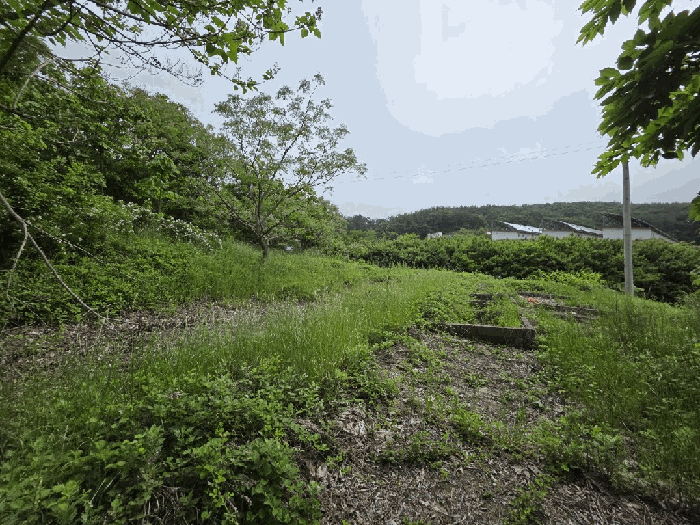 전남 무안군 삼향읍 전 경매 물건 사진 5 · 2025타경51125