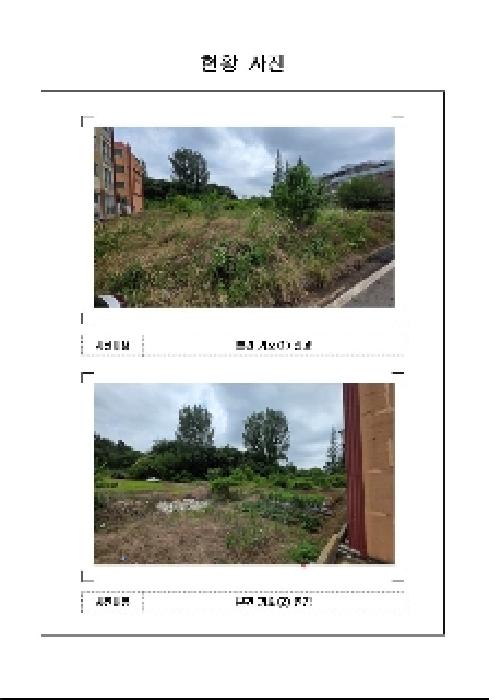 전남 무안군 일로읍 과수원 경매 물건 사진