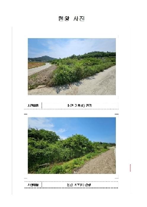 전남 신안군 도초면 임야 경매 물건 사진