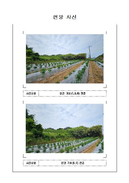 전남 신안군 지도읍 전 경매 물건 사진 5 · 2025타경51142