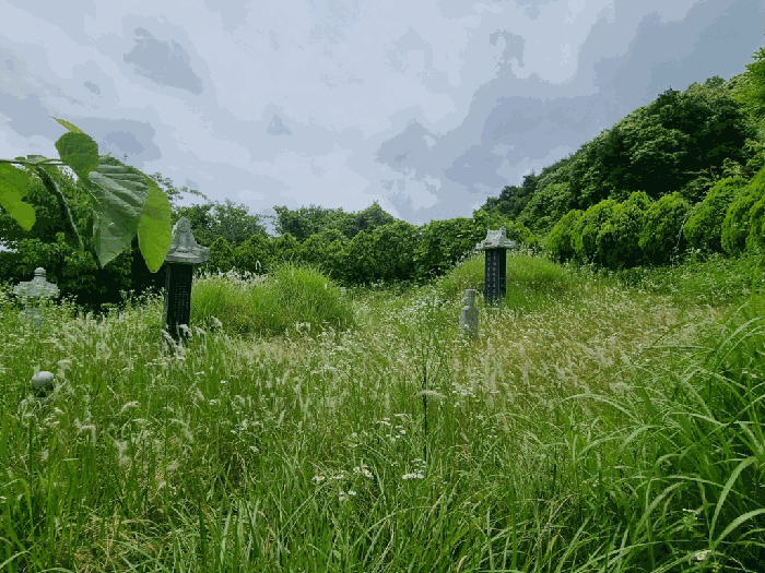 전남 함평군 나산면 전 경매 물건 사진 3 · 2025타경51151