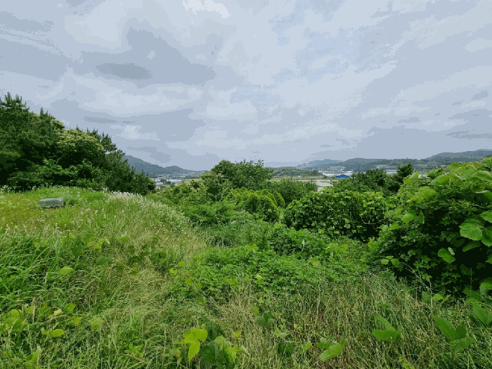 전남 함평군 나산면 전 경매 물건 사진 5 · 2025타경51151