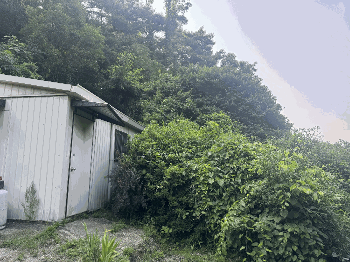 전남 함평군 나산면 임야 경매 물건 사진 6 · 2025타경51165