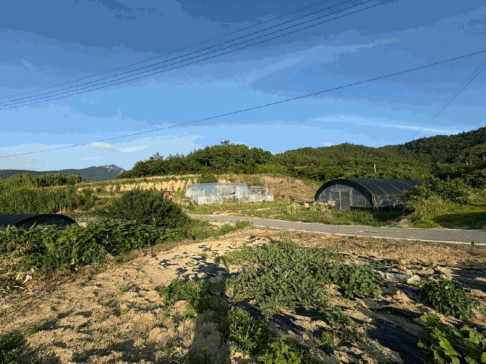 전남 신안군 자은면 대지 경매 물건 사진