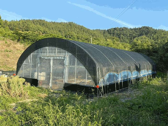 전남 신안군 자은면 대지 경매 물건 사진 6 · 2025타경51200