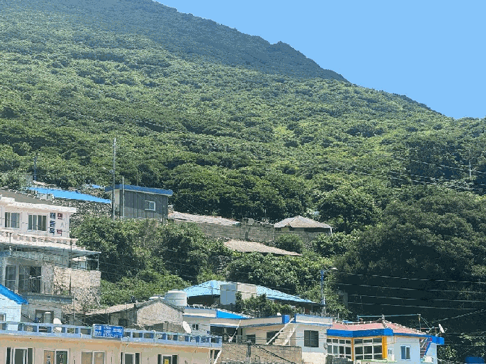 전남 신안군 흑산면 전 경매 물건 사진 5 · 2025타경51203