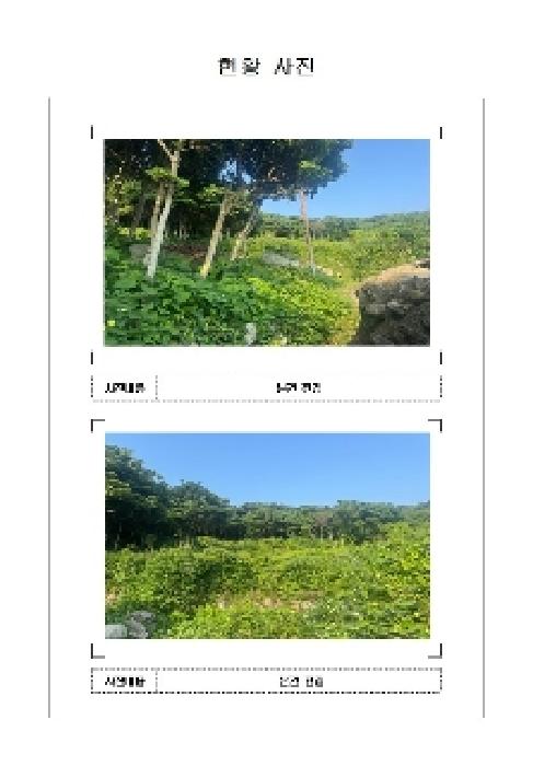 전남 신안군 흑산면 전 경매 물건 사진 2 · 2025타경51203