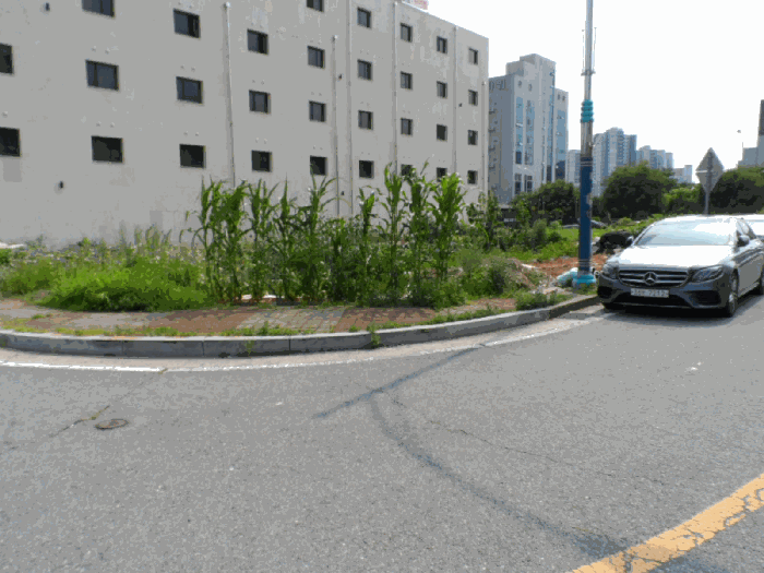 전남 무안군 삼향읍 대지 경매 물건 사진 5 · 2025타경51209